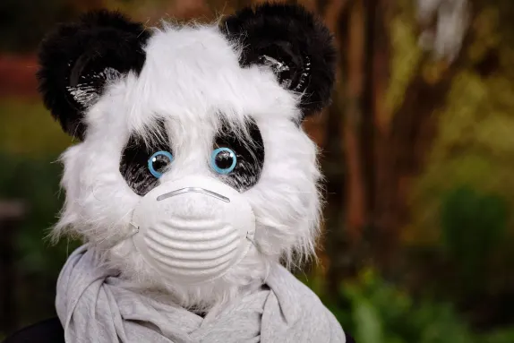 Kazino Mars Bet Pagalba